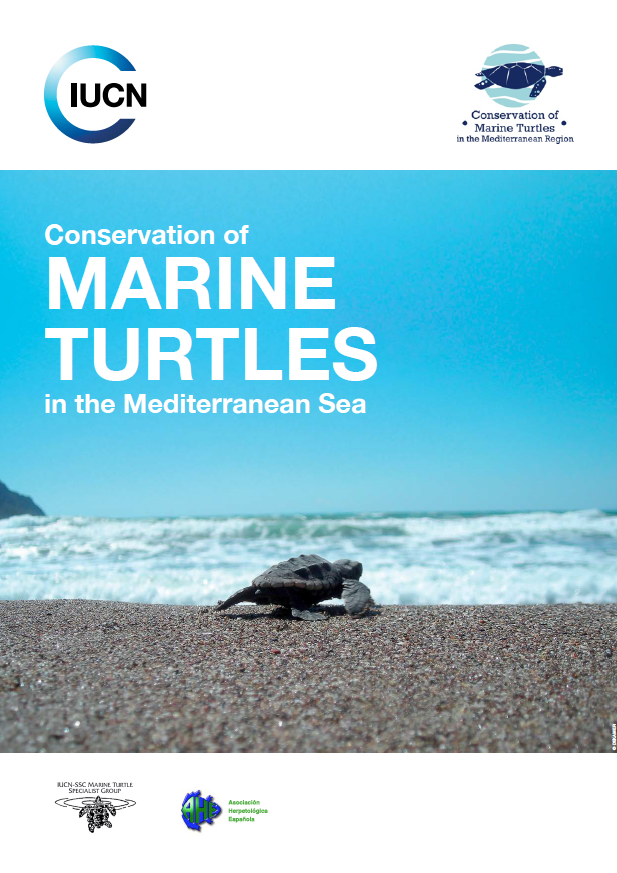 Tortues en Méditerranée