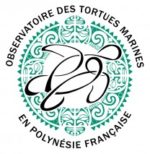 LOGO obs tortues