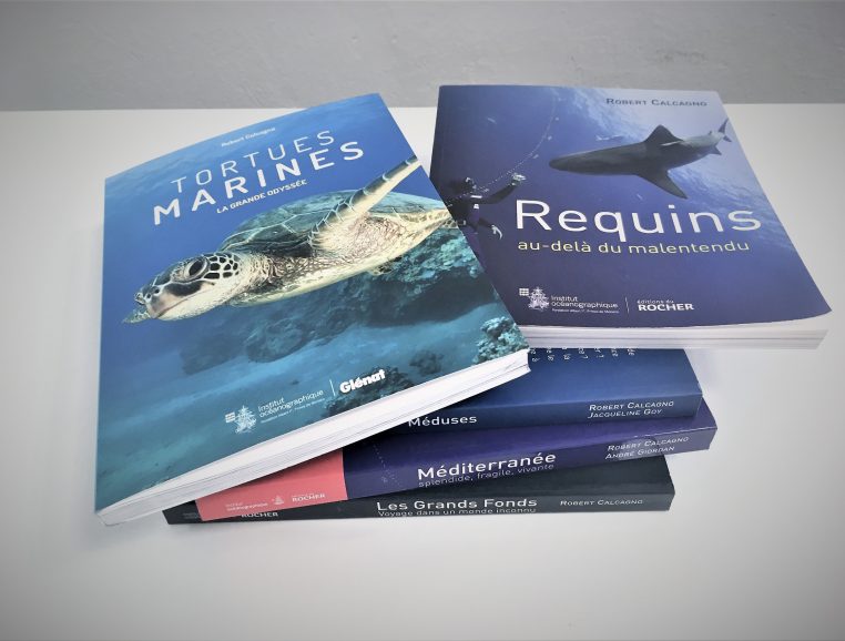 Editions requins