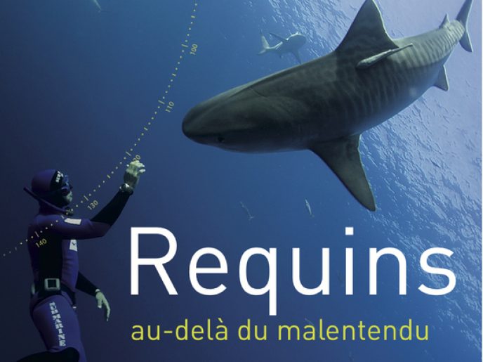 Requins