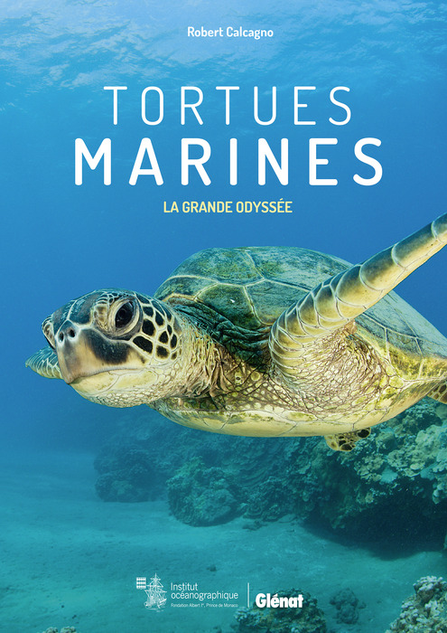 Programme Tortues marines