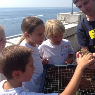 Enfant devant tortue terrestre