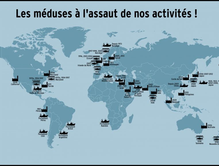 Carte du monde Méduses