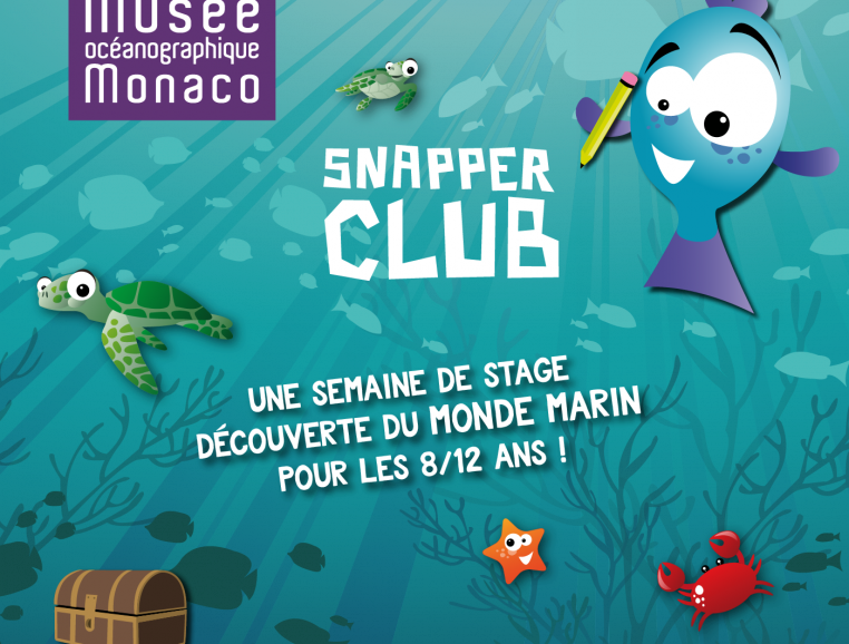 Snapper club octobre 2019