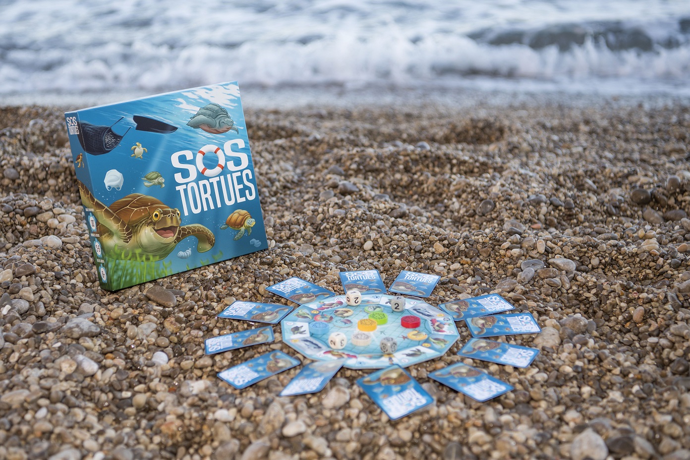 Programme Tortues marines