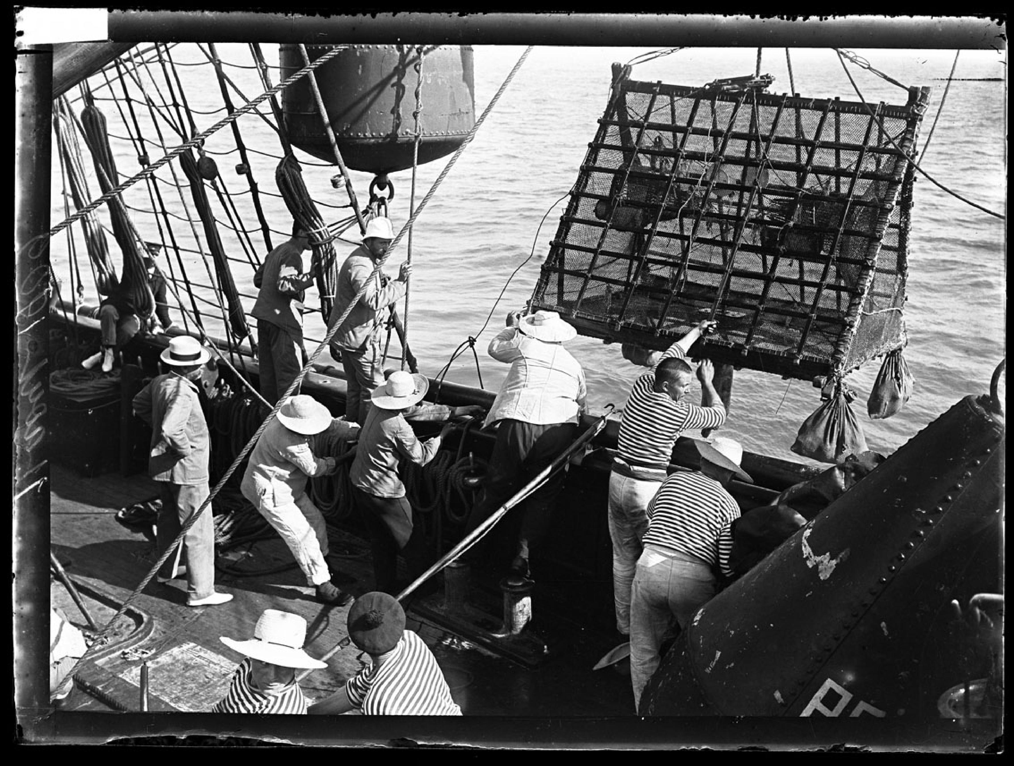 le Prince Albert Ier