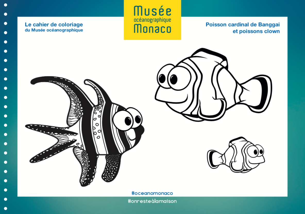 Cahier de coloriage du musée océanographique