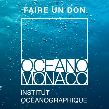 Faire un donc Oceano Monaco