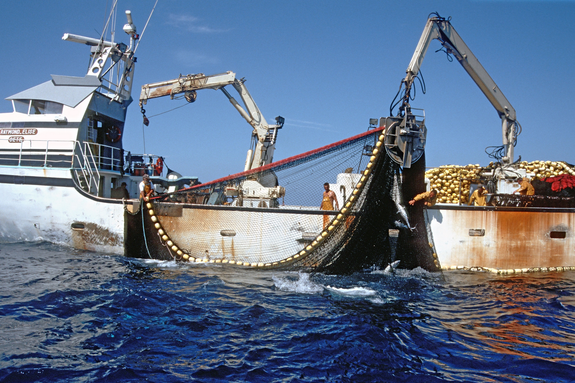 5 Comment Est Peche Le Thon Institut Oceanographique