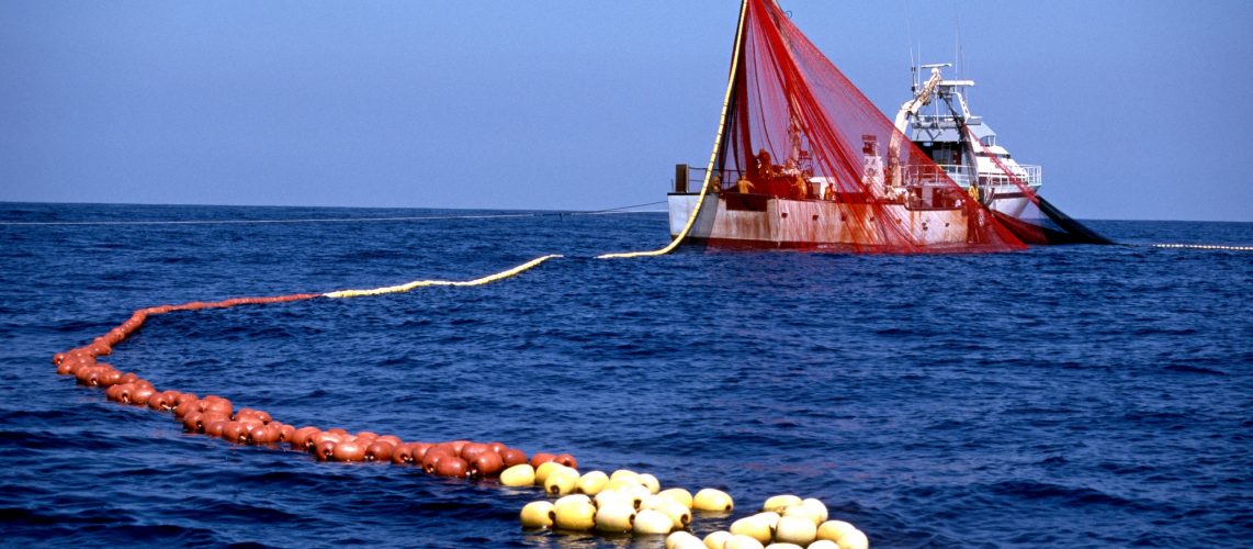 La pêche au filet : Technique de pêche au filet