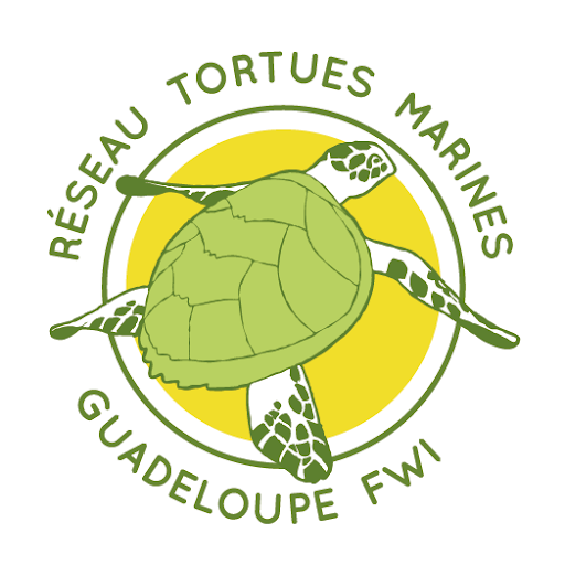 Autres Ressources Tortues