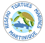 Autres Ressources Tortues