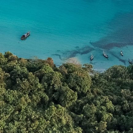 Un pas décisif pour la préservation de la biodiversité ?