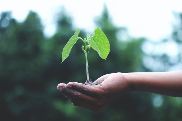 Biodiversité