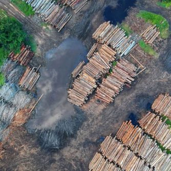 Deforestation - Source : Pok rie @ Pexel