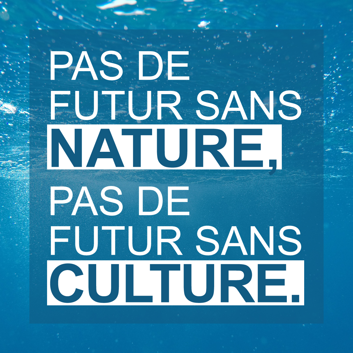 Pas de futur sans nature, pas de futur sans culture