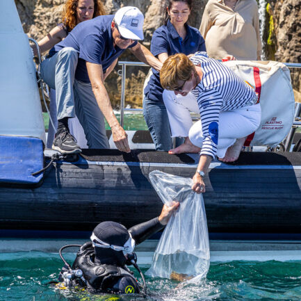 relâché d'un jeu mérou dans les eaux monégasques