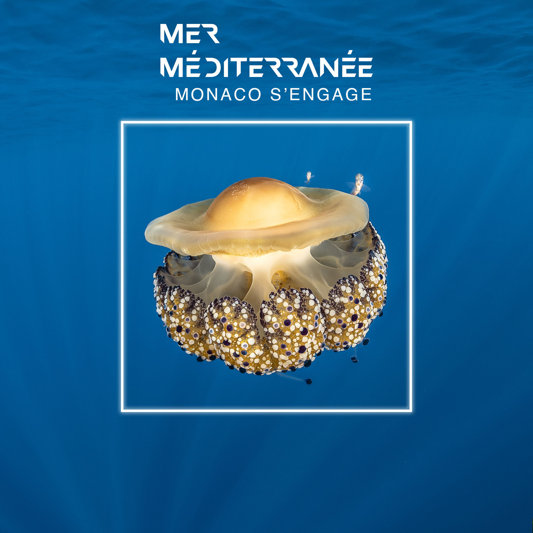 cadre-institut-oceanographique-monaco-exposition-mediterranee-monaco-sengage