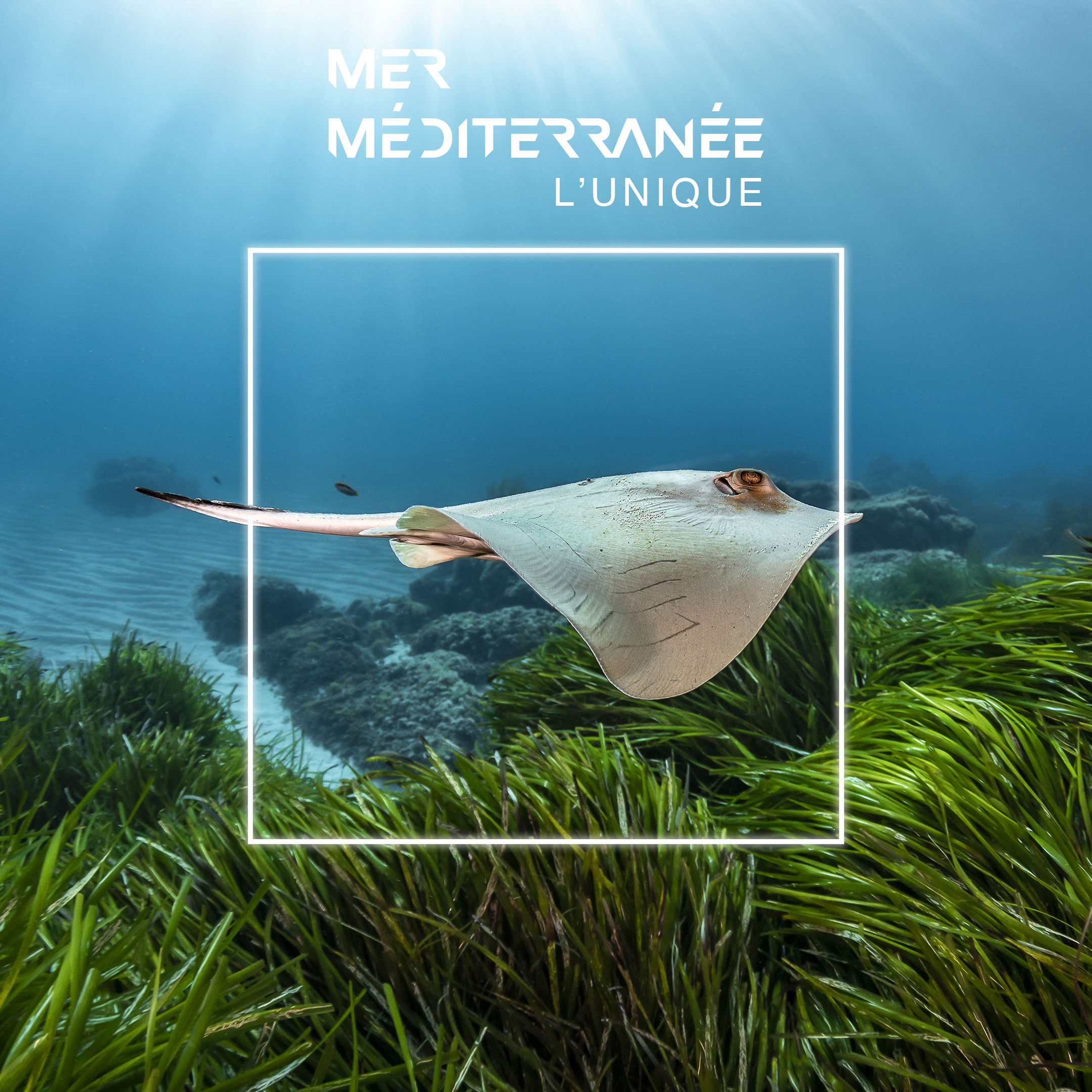 Exposition méditerranée 2050, méditerranée l'unique