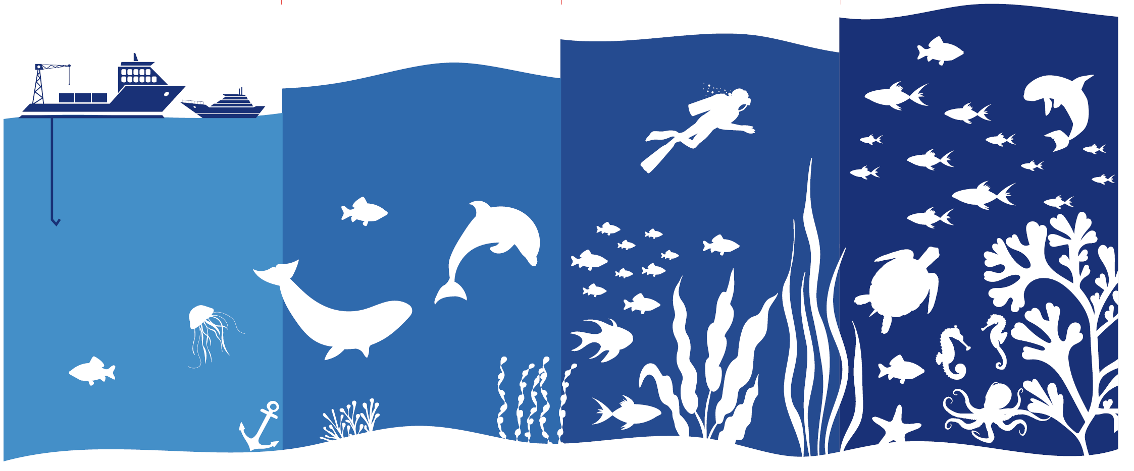 institut-oceanographique-monaco-exposition-mediterranee-niveaux-de-protection