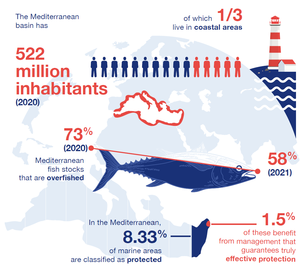 Oceanographic-institute-exhibition-mediterranean-2050-mediterranean-map-fishing