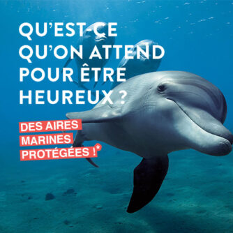 campagne-amp-méditerranée-institut-oceanographique-Monaco