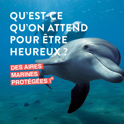 campagne-amp-méditerranée-institut-oceanographique-Monaco