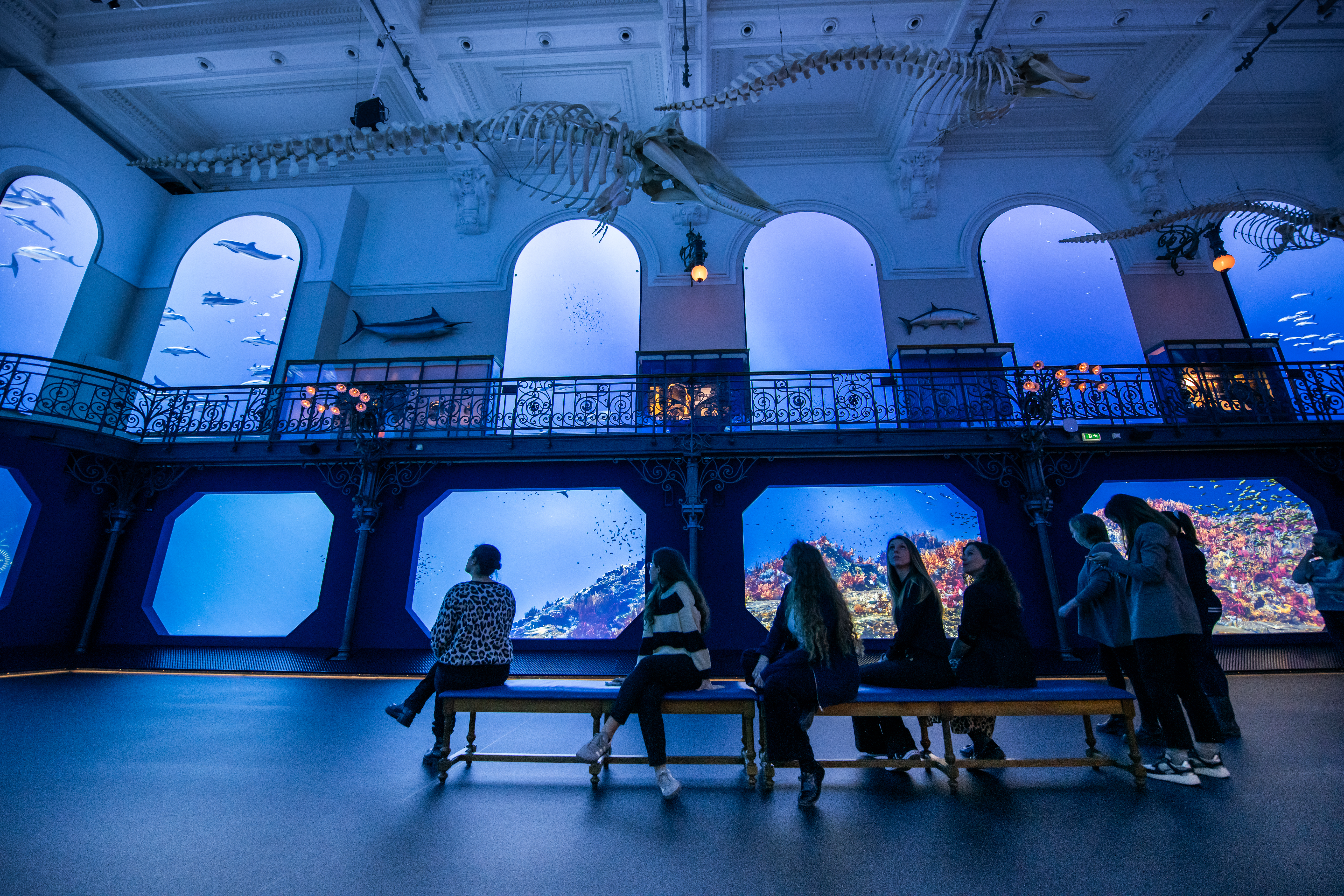 Exposition_Mediterranée_2050_20250325_Musee_oceanograpique_Monaco©Institut_oceanographique_Monaco_ Frederic_Pacorel_1735