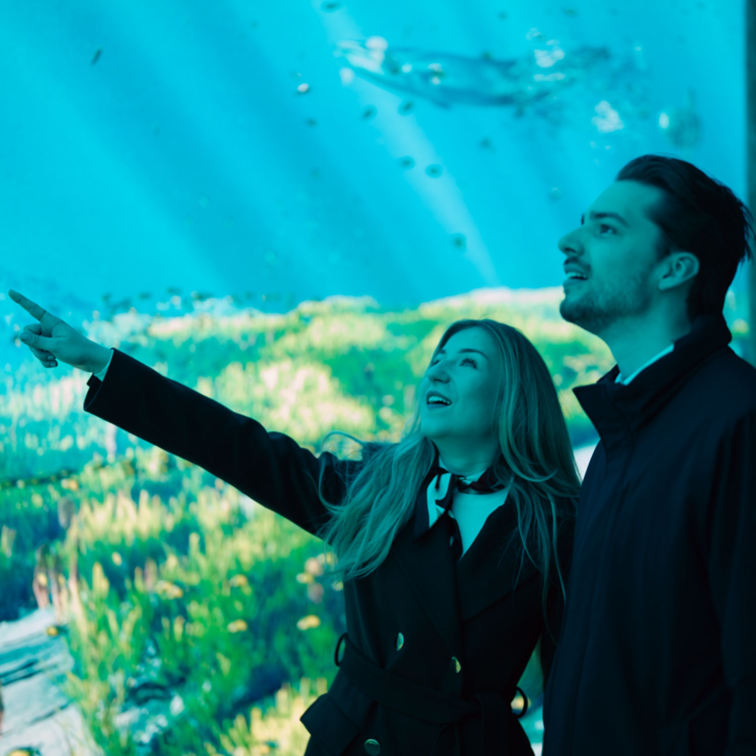 oceano-odysee-europapark-2026