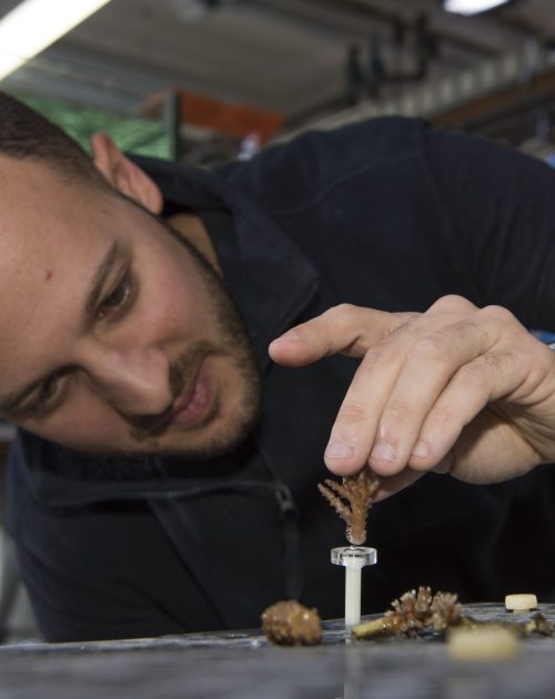 Manipulation atelier bouturage corail