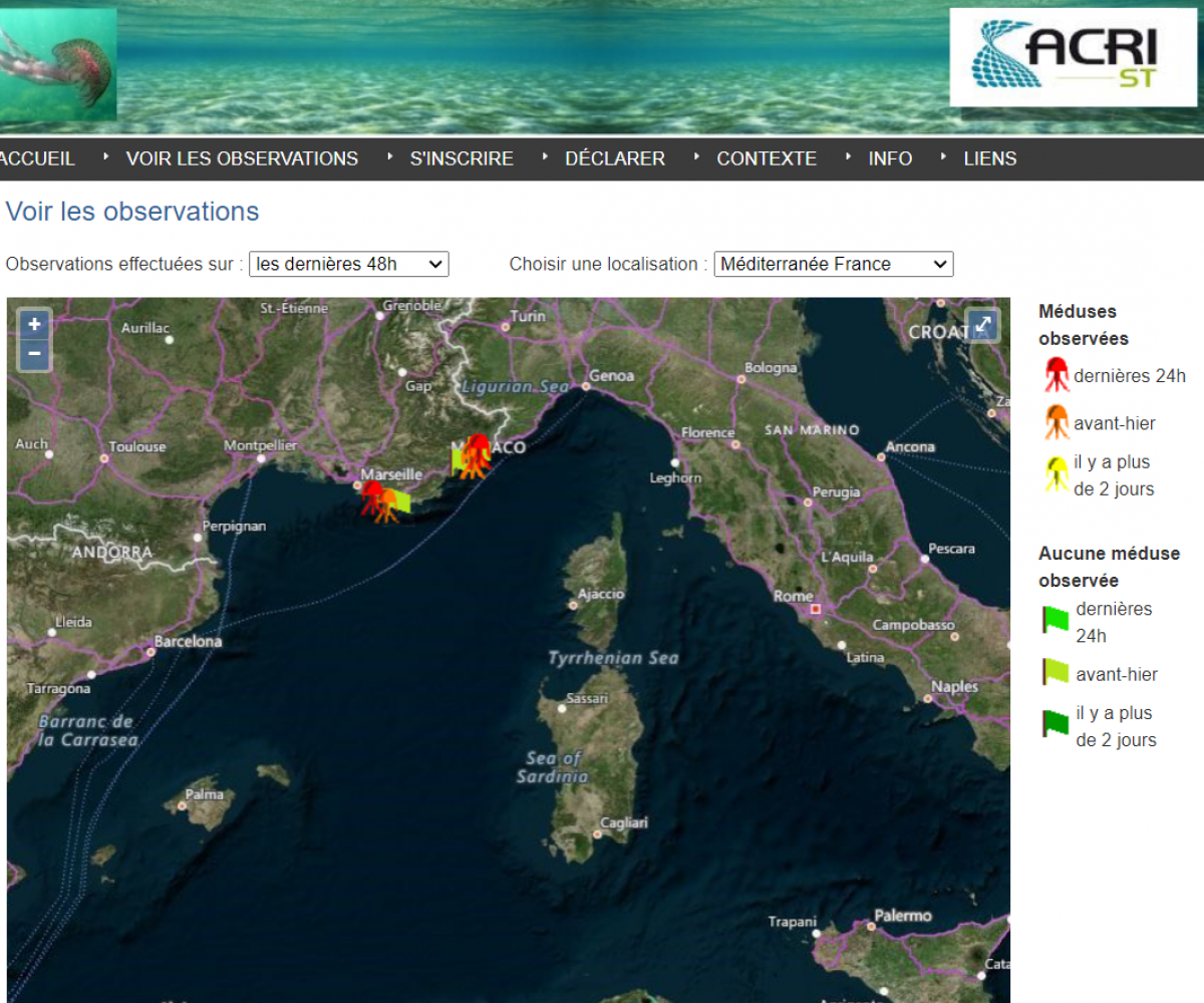 Cartographie des méduses en région PACA