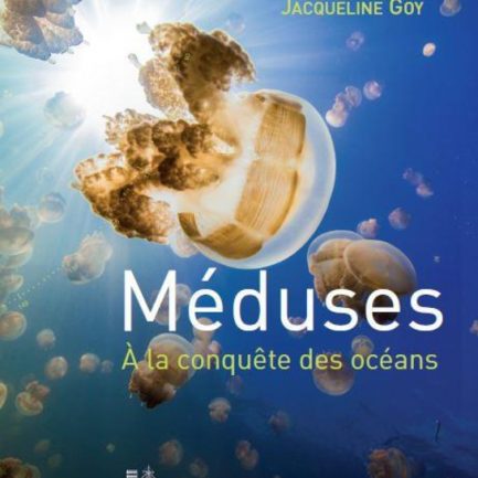 couverture du livre sur les méduses - Institut océanographique