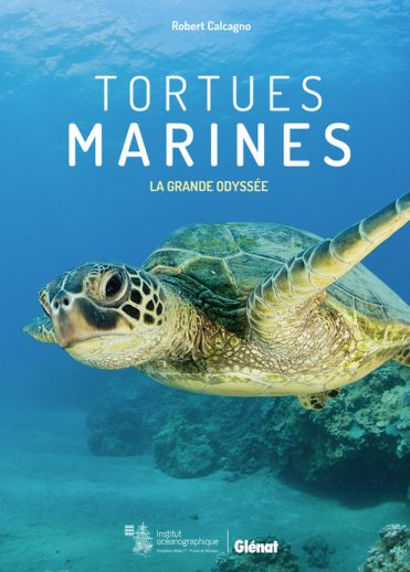 Programme Tortues marines